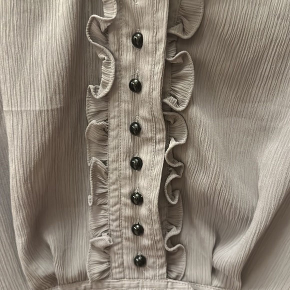 Alice Temperley for Target women’s Ruffled Victorian Gray Buttoned Blouse - Picture 17 of 17